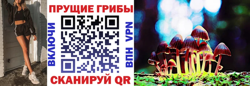 Псилоцибиновые грибы мицелий  Купить  Аша 