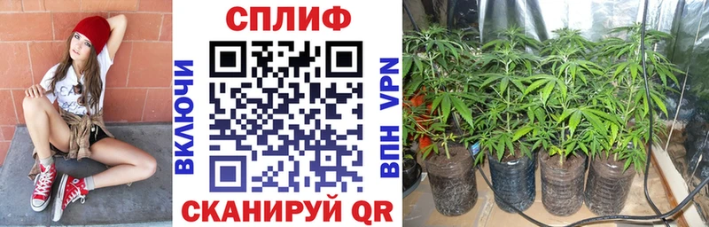 Конопля Ganja Купить Аша